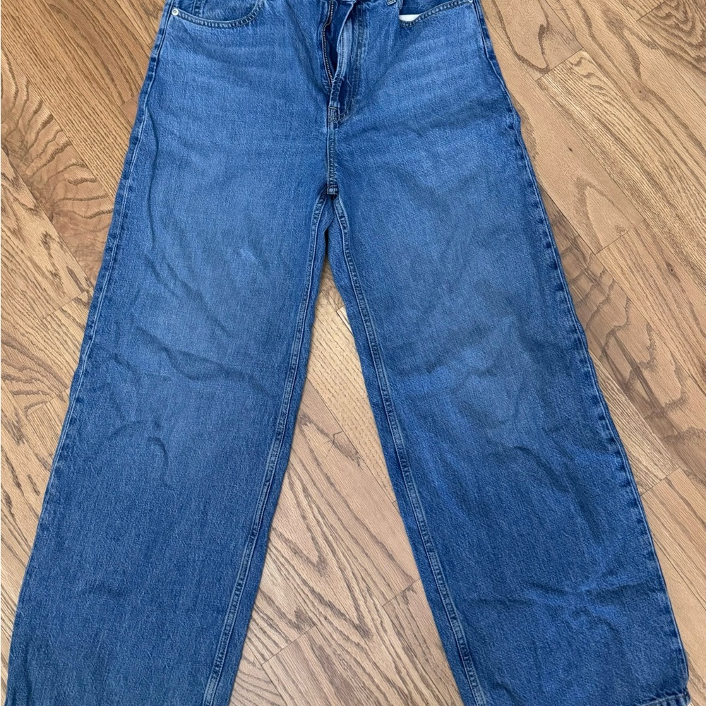 Everlane The OG Baggy Jean